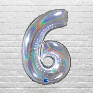 Silver Glitter Birthday Number 6