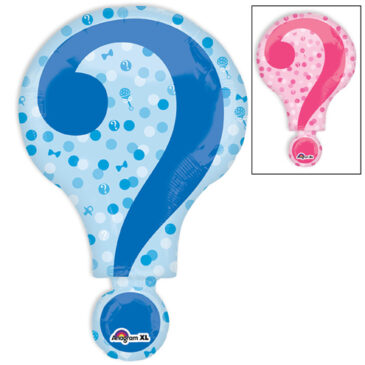Blue & Pink Question Mark 28″